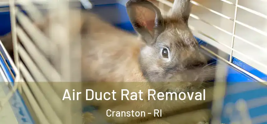  Air Duct Rat Removal Cranston - RI