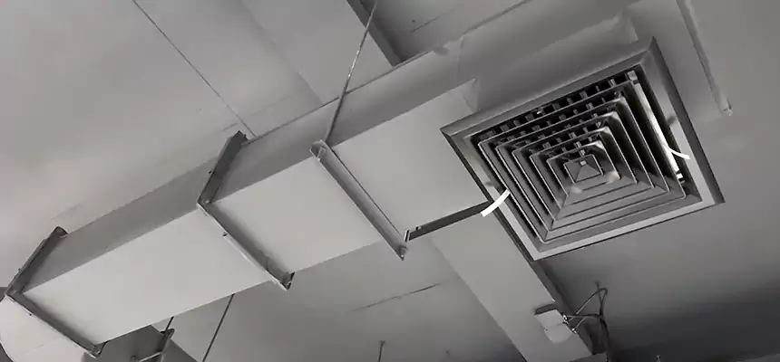 Our Pest Removal From Ducts Services in Cranston, RI