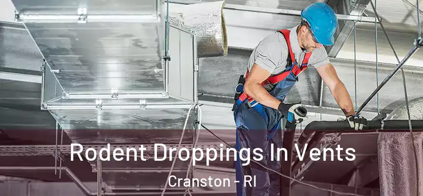  Rodent Droppings In Vents Cranston - RI