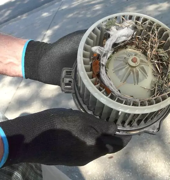 About Air Duct Rat Removal in Cranston, RI