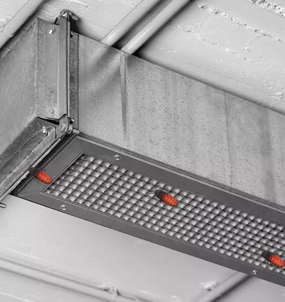 Affordable Insect Removal from Air Ducts in Cranston, RI
