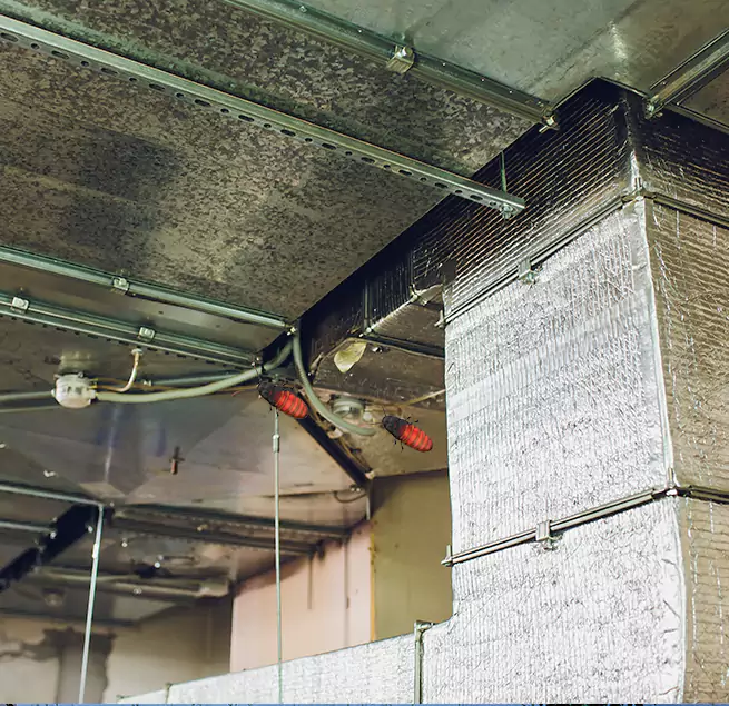 Why Homeowners & Businesses Trust Us in Cranston, RI?