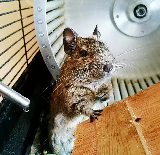 Why Homeowners & Businesses Trust Us Cranston, RI?