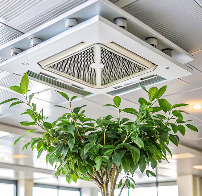 Why Homeowners & Businesses Trust Us in Cranston, RI